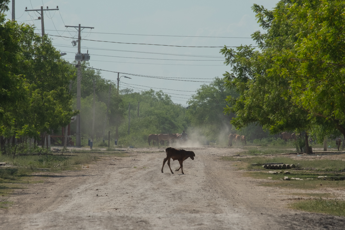 The Aquidaban cargo boat moored at a remote sandy bank on the Río Paraguay at dusk, reflected in still water